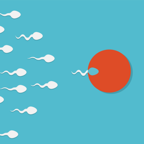 The sperm cell leader . Active sperm cells swim to the egg. Background of moving sperm. Vector illustration.