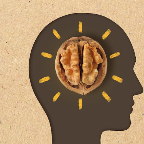 Man head silhouette with walnut - Walnuts are good for brain